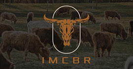 imcbr-logo.jpg